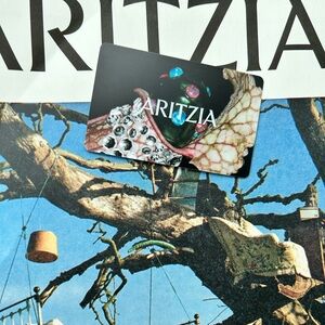 $380 Aritzia gift card